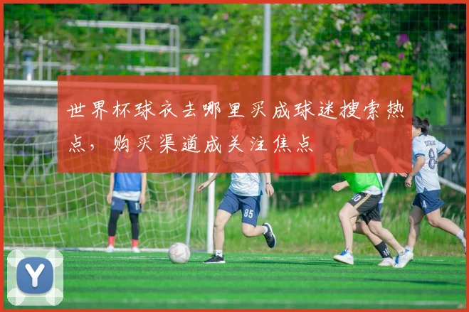 世界杯球衣去哪里买成球迷搜索热点,购买渠道成关注焦点