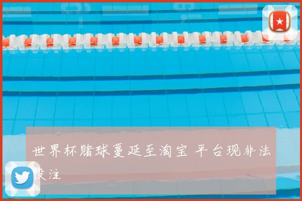 世界杯赌球蔓延至淘宝 平台现非法投注