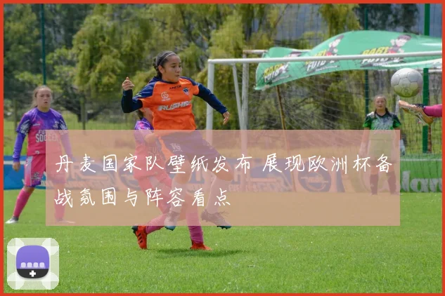 丹麦国家队壁纸发布 展现欧洲杯备战氛围与阵容看点